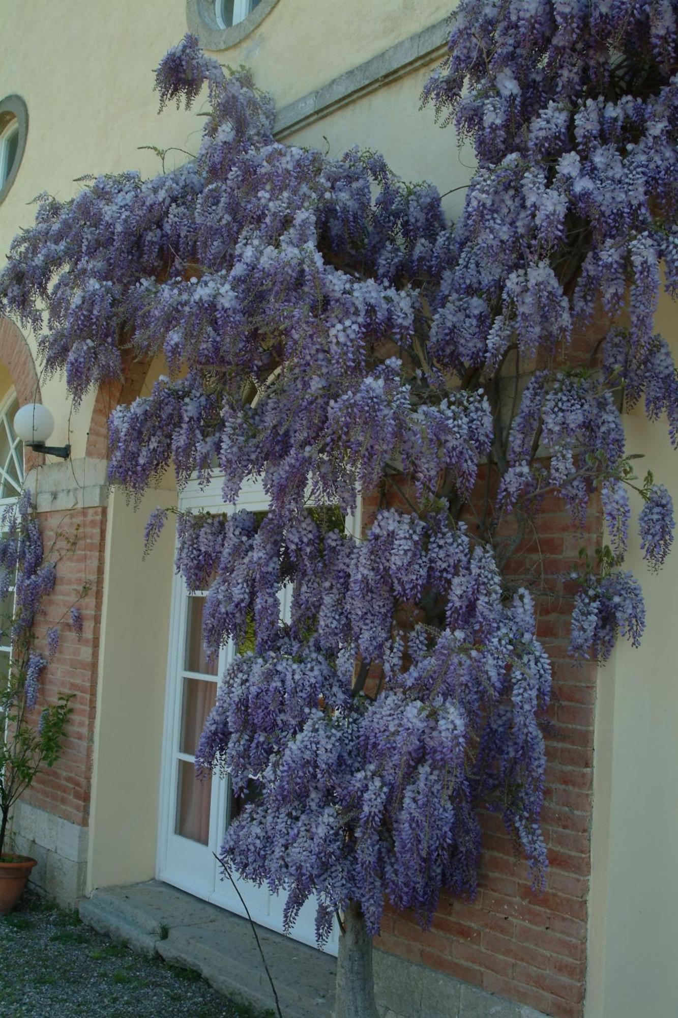 Villa Palagione Centro Interculturale Volterra Dış mekan fotoğraf